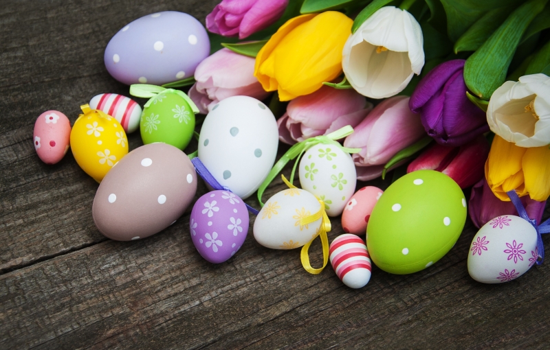 Pâques Easter oeufs et tulipes