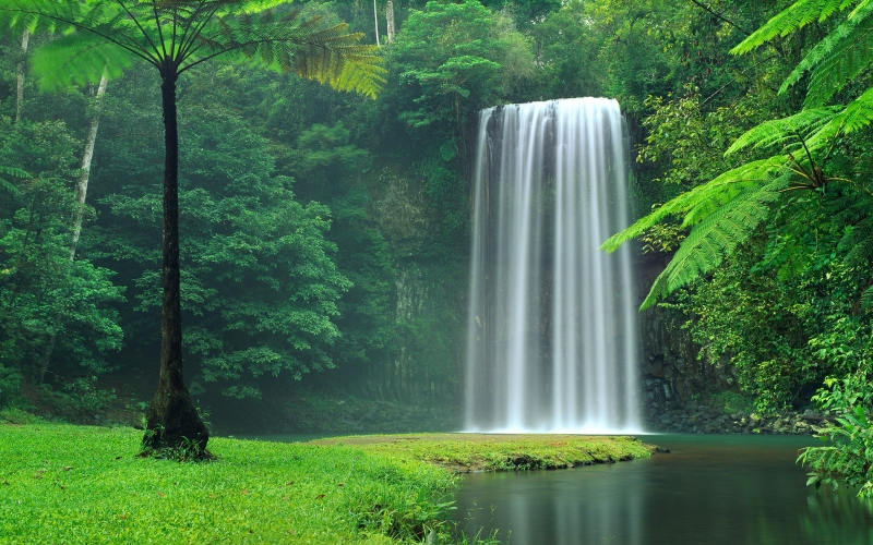 Cascade dans forêt tropicale