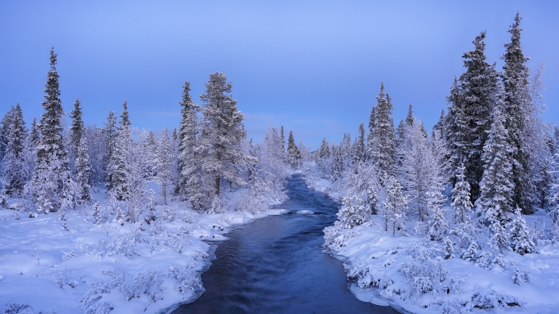 Hiver nature forêt rivière neige et glace