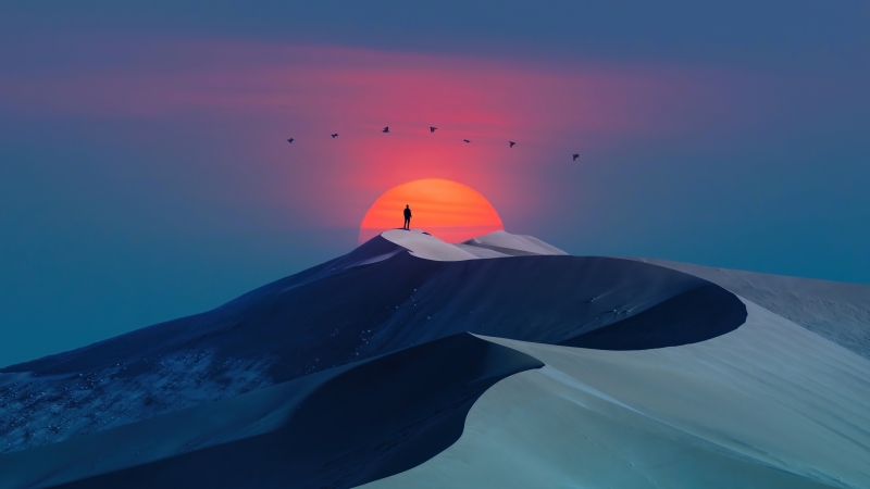 Désert paysage dune coucher de soleil dessin art