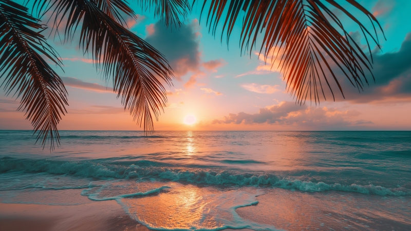 Plage coucher de soleil palmier